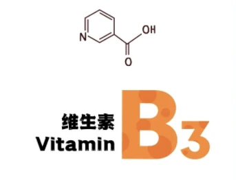 B3 B3