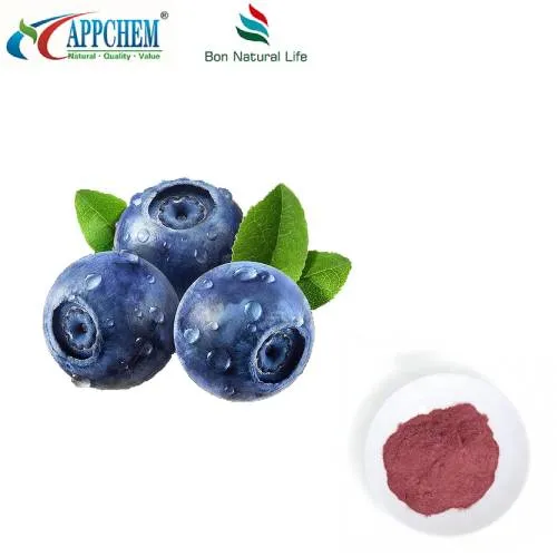 ผงน้ำบลูเบอร์รี่