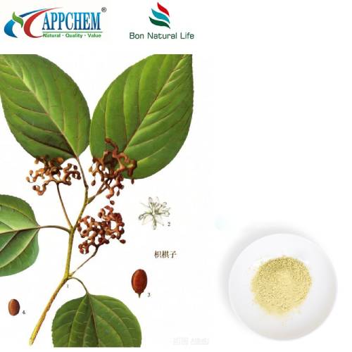 ผงสารสกัด Hovenia Dulcis