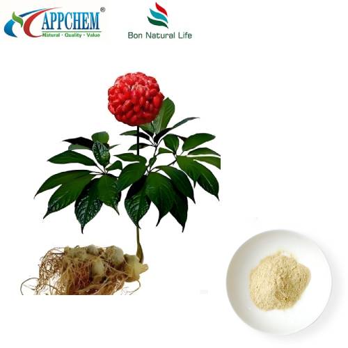 สารสกัดจากราก Notoginseng