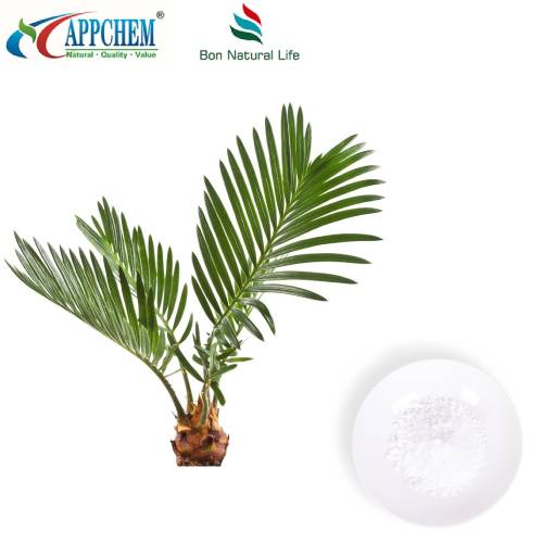 ผงสารสกัด Saw Palmetto