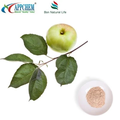 สารสกัดจากแอปเปิ้ล Phloretin Bulk Supply