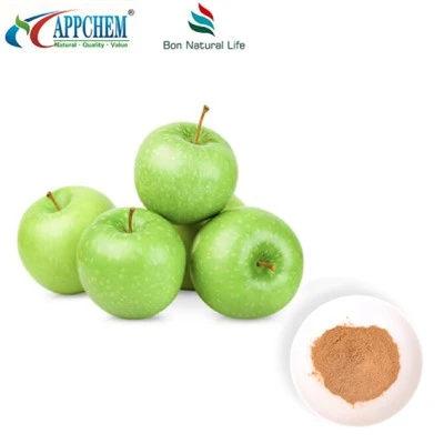 สารสกัดจากแอปเปิ้ล Procyanidin B2 Powder ในสต็อก