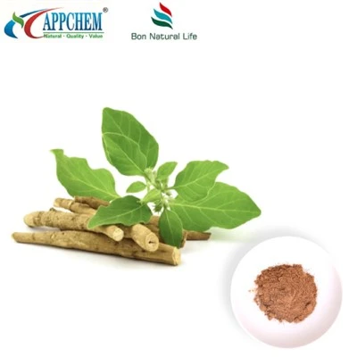 Ashwagandha Extract Powder (Withanolides) ผลิต 30655-48-2
